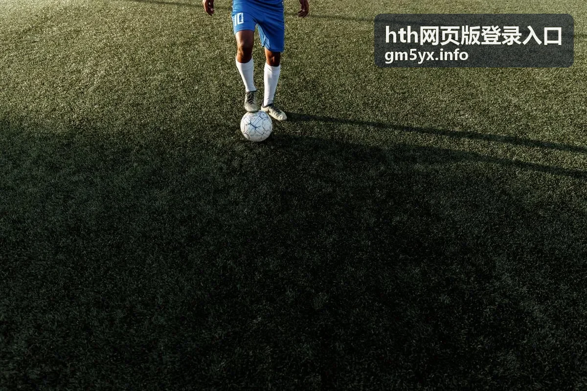 确认 hth网页版登录入口 访问地址与安全标识的操作示意